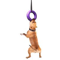 puller sunims - Collar Puller Maxi 30cm - 6 nuotrauka