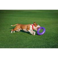 puller sunims - Collar Puller Maxi 30cm - 7 nuotrauka