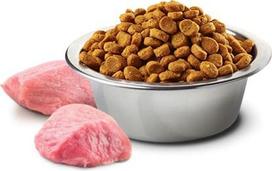 farmina pumpkin lamb blueberry - Farmina N&D Pumpkin Adult Medium/Maxi Lamb & Blueberry 12 kg - 4 nuotrauka