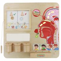 montessori zaislai - Masterkidz Montessori mokomoji lenta „Uoslės pojūtis“ 6955920015822 - 12 nuotrauka