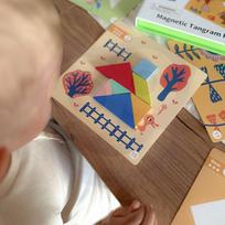 zaislai vaikams - Tooky Toy Magnetinė tangramų dėlionė TF642LEK, 18 el. - 14 nuotrauka