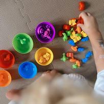 montessori zaislai - Woopie Montessori spalvų rūšiuoklė Dinozaurai 56 el - 9 nuotrauka