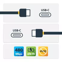 usb type c laidas 2 m - StarTech USB2CC3M USB-C to USB-C Cable 3m Juodas (Black) - 5 nuotrauka