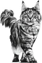 royal canin gastro intestinal - Sausas kačių maistas Royal Canin Gastro Intestinal - 3 nuotrauka