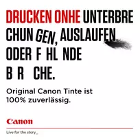 spausdintuvas canon rasalinis - CANON pg-585xl Ink Cartridge Europe | 6204C001 - 6 nuotrauka