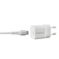 usb c pakrovejas - POWER ADAPTER USB-C/7803042 INTENSO - 7 nuotrauka