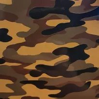 spalvota plevele - Apsauginė plėvelė Evelatus         Universal      Camouflage Colorful Film for Screen Cutter - 2 nuotrauka