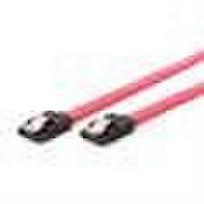 sata cable - Kabelis GEMBIRD CC-SATAM-DATA-0.1M - 2 nuotrauka