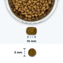 kaciu maistas sterilizuotoms 10kg - Sausas kačių maistas Eukanuba Sterilised Weight Control, vištiena/kalakutiena, 10 kg - 2 nuotrauka