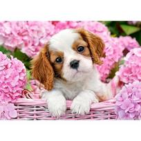 flow delione - Castorland Puzzle Pupu In Pink Flowers 500pcs - 2 nuotrauka