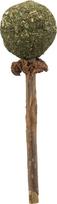 katzole - Trixie Matatabi Lolly žaislas katėms, 11 cm, rudas/žalias (Brown/Green) - 3 nuotrauka