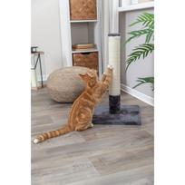 draskykles katems - Trixie Batres draskyklė stulpas, 62 cm, pilka (Grey) - 2 nuotrauka