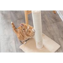 smelis katems - Trixie Batres draskyklė katėms, 62 cm, smėlio (Beige) - 2 nuotrauka