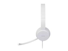 lenovo ausines - Lenovo USB Headset 110 Stereo Grey (Pilka) - 2 nuotrauka