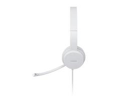 lenovo ausines - Lenovo USB Headset 110 Stereo Grey (Pilka) - 6 nuotrauka