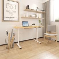 ermitazas stalai - Kompiuterio stalas reguliuojamo aukščio Home4you Ergo 1, 60 cm x 120 cm, 73 - 121 cm, ąžuolo sp./balta sp. - 5 nuotrauka