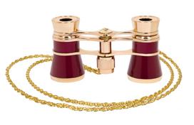 teatro ziuronai - Levenhuk Opera glasses 3x25 Broadway 325B žiūronai - 5 nuotrauka