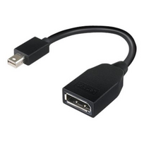 mini dp displayport adapteris - Lenovo mDP Male to DP Female Cable - 2 nuotrauka