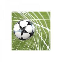 tinklelis metalinis - Trizand Metalinis Futbolo Vartų Tinklas - 5 nuotrauka