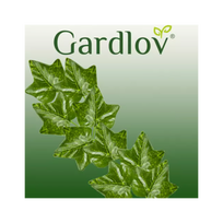 gebene - Dirbtinė gebenės girlianda 50,4 m Gardlov 19737 - 14 nuotrauka