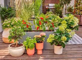 laistymo sistema gardena micro drip - Laistymo sistema Gardena Micro-Drip-System terasos rinkinys 13400-20 (iki 30 augalų) - 3 nuotrauka