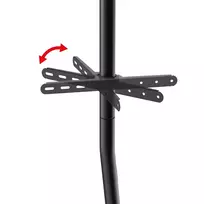 tv 32 - Maclean MC-494 Grindų televizoriaus stovas 32"-70", Juodas (Black) - 2 nuotrauka