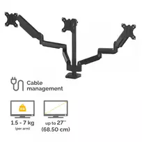 monitor arm - MONITOR ACC ARM TRIPLE/PLATINUM 8042601 FELLOWES - 5 nuotrauka