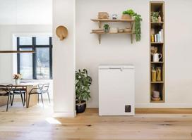 horizontalus saldiklis - Gorenje FH15E6W5 - 3 nuotrauka