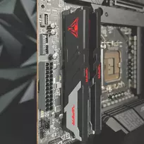 mhz 6000 - Patriot Memory Viper Venom PVV516G60C30 atminties modulis 16GB 1 x 16GB DDR5 6000 MHz ECC - 3 nuotrauka