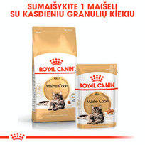 royal canin maine coon - Royal Canin Maine Coon Adult 0,4 kg - 4 nuotrauka