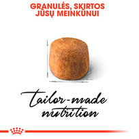 royal canin maine coon - Royal Canin Maine Coon Adult 0,4 kg - 5 nuotrauka