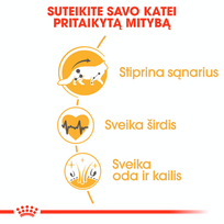 royal canin maine coon - Royal Canin Maine Coon Adult 0,4 kg - 6 nuotrauka