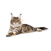 royal canin maine coon - Royal Canin Maine Coon Adult 0,4 kg - 7 nuotrauka
