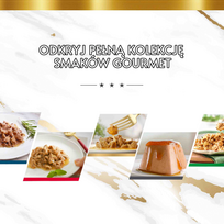 gourmet kaciu maistas - PURINA Gourmet Revelations gabalėliai želė su lašiša - šlapias kačių maistas - 2x57 g - 2 nuotrauka