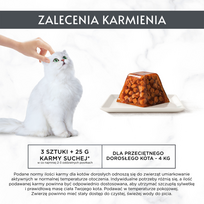 gourmet kaciu maistas - PURINA Gourmet Revelations gabalėliai želė su lašiša - šlapias kačių maistas - 2x57 g - 4 nuotrauka