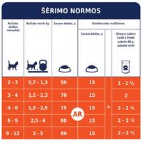 club 4 maistas - CLUB 4 PAWS Premium pilnavertis sausas maistas kačiukams su vištiena, 5 kg - 2 nuotrauka