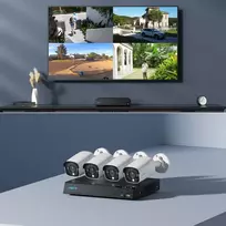 reolink - Reolink NVS8-8MB4 PoE sistema 8 kanalų IP kamera su 4 kameromis 4K UHD (Balta/White) - 5 nuotrauka