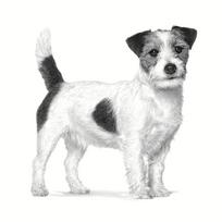 royal gastrointestinal - ROYAL CANIN Gastrointestinal Low Fat Small VHN - sausas šunų maistas - 3,5 kg - 2 nuotrauka