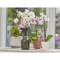 rankinis purkstuvas - Pompinis purkštuvas Gardena 0.75 L - 6 nuotrauka
