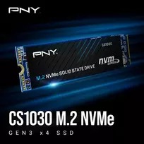 2tb hdd - PNY CS1030 2TB M.2 - 7 nuotrauka