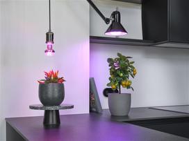 led augalu - Osram LED Grow Light E27 20W 650lm Balta (White) - 3 nuotrauka