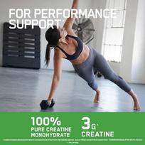 creatine - Optimum Nutrition Creatine Powder 317 g. - 2 nuotrauka