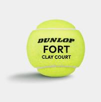 tuba kamuoliukams - Dunlop Fort Clay Court 4 vnt. - 2 nuotrauka