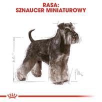 suaugosiem - Pašarai Royal Canin Miniature Schnauzer Suaugęs 3 Kg - 7 nuotrauka