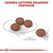 digestive - ROYAL CANIN Mini Digestive Care 1 kg - 9 nuotrauka