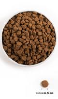 sunu maistas orijen - Sausas šunų maistas Orijen Senior, žuvis/vištiena/kalakutiena, 2 kg - 3 nuotrauka