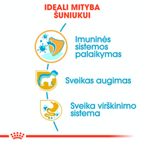 sunu maistas 10 kg - Royal Canin Jack Russell Terrier Junior 3 kg - 4 nuotrauka