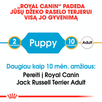 sunu maistas 10 kg - Royal Canin Jack Russell Terrier Junior 3 kg - 5 nuotrauka