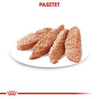 konservai - Royal Canin Dermacomfort šlapias maistas šunims, 12 x 85 g - 2 nuotrauka