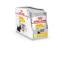 konservai - Royal Canin Dermacomfort šlapias maistas šunims, 12 x 85 g - 9 nuotrauka